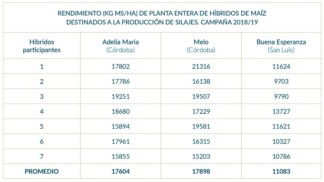 Rendimientos (kg MS/ha) de híbridos de maíz para silajes en distintas localidades