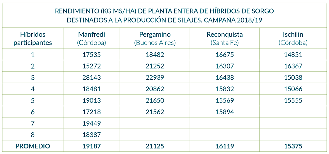 Rendimientos (kg MS/ha) de híbridos de sorgo para silajes en distintas localidades